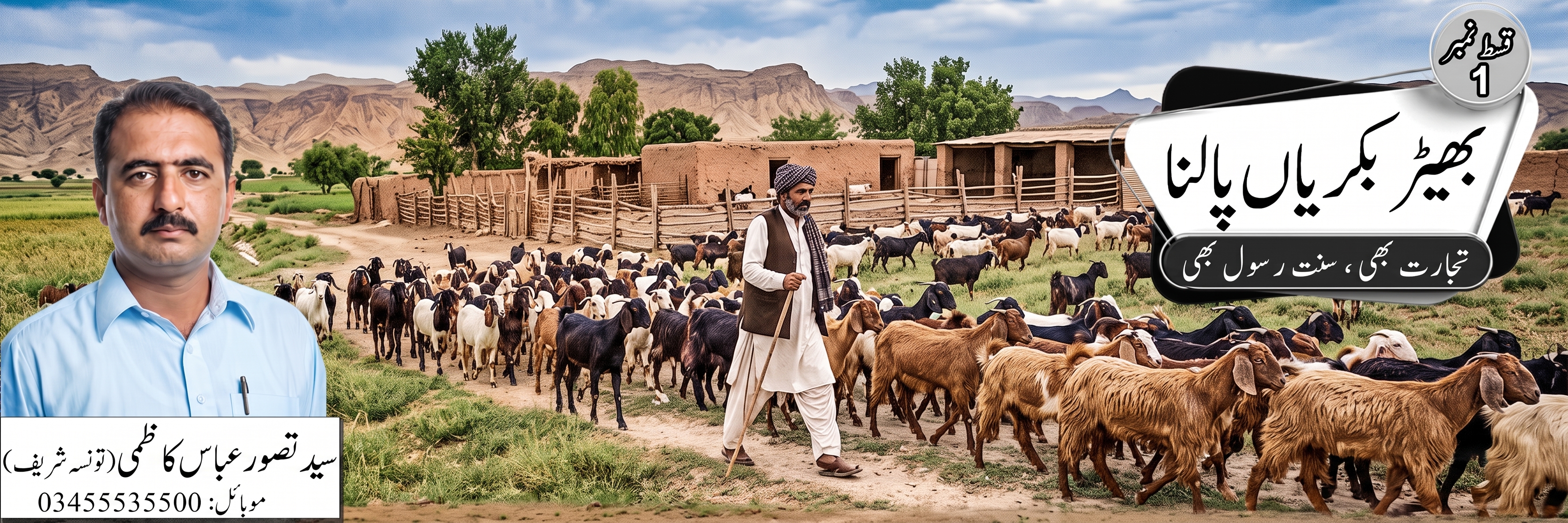 بھیڑ بکریاں پالنا - تجارت بھی سنتِ رسول ﷺ بھی - پاکستان میں لائیو اسٹاک فارمنگ رہنمائی قسط نمبر 01