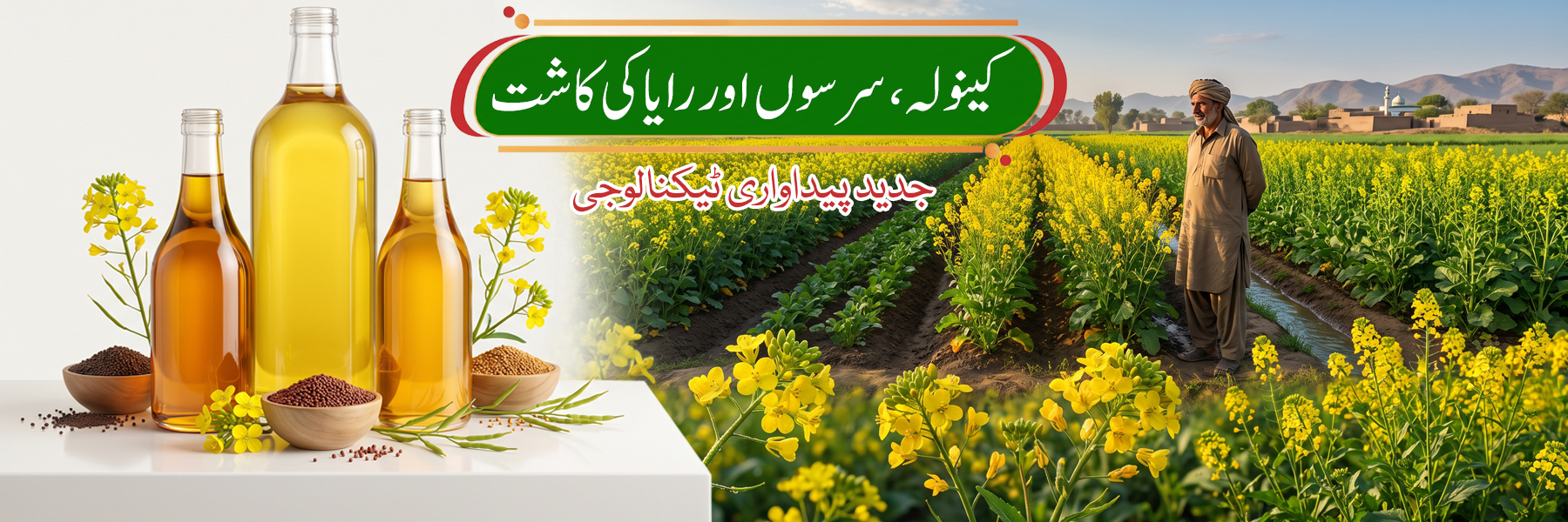 ہائبرڈ کینولہ، سرسوں اور رایا کی جدید کاشت (Canola, Sarsoon & Raya Ki Kasht) — مکمل فرٹیلائزر پلان