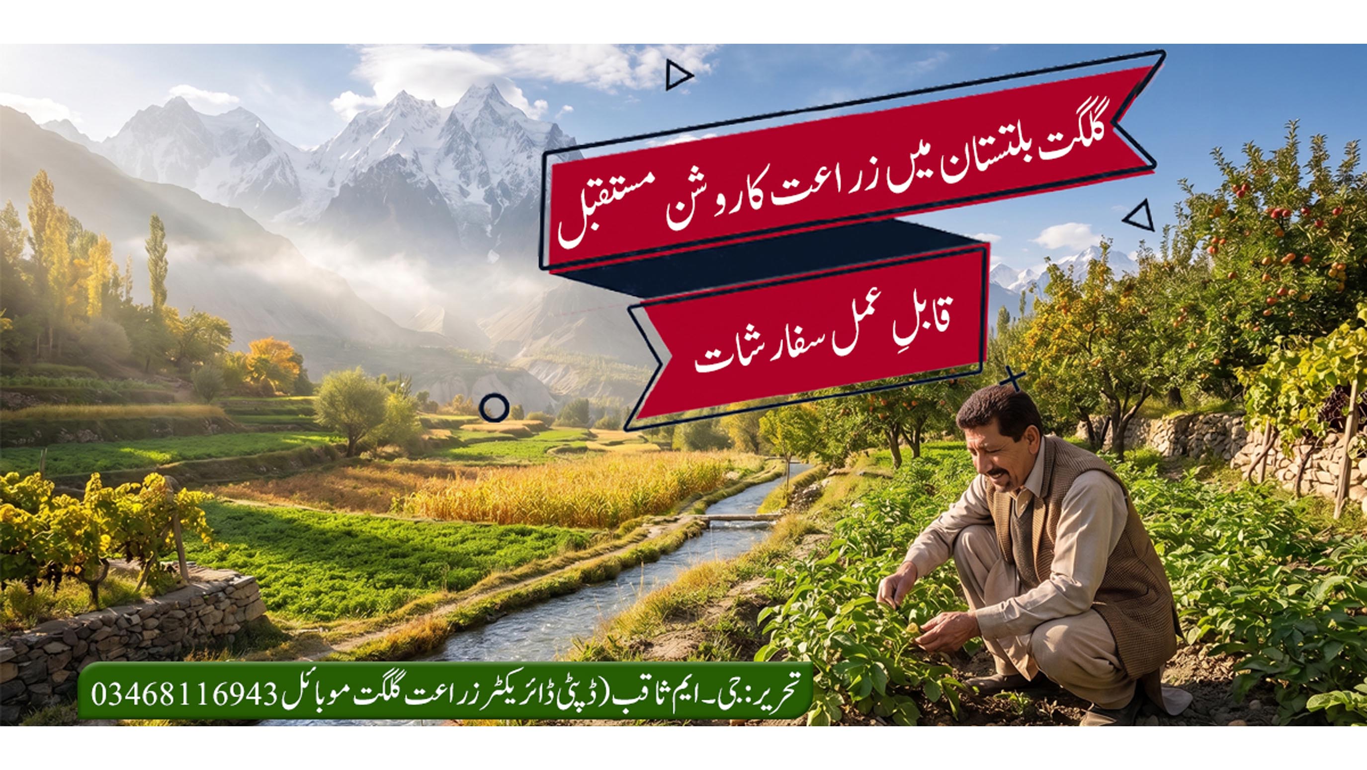 Agriculture in Gilgit Baltistan - Beautiful farming landscape and mountains tگلگت بلتستان میں زراعت اور خوبصورت کھیت
