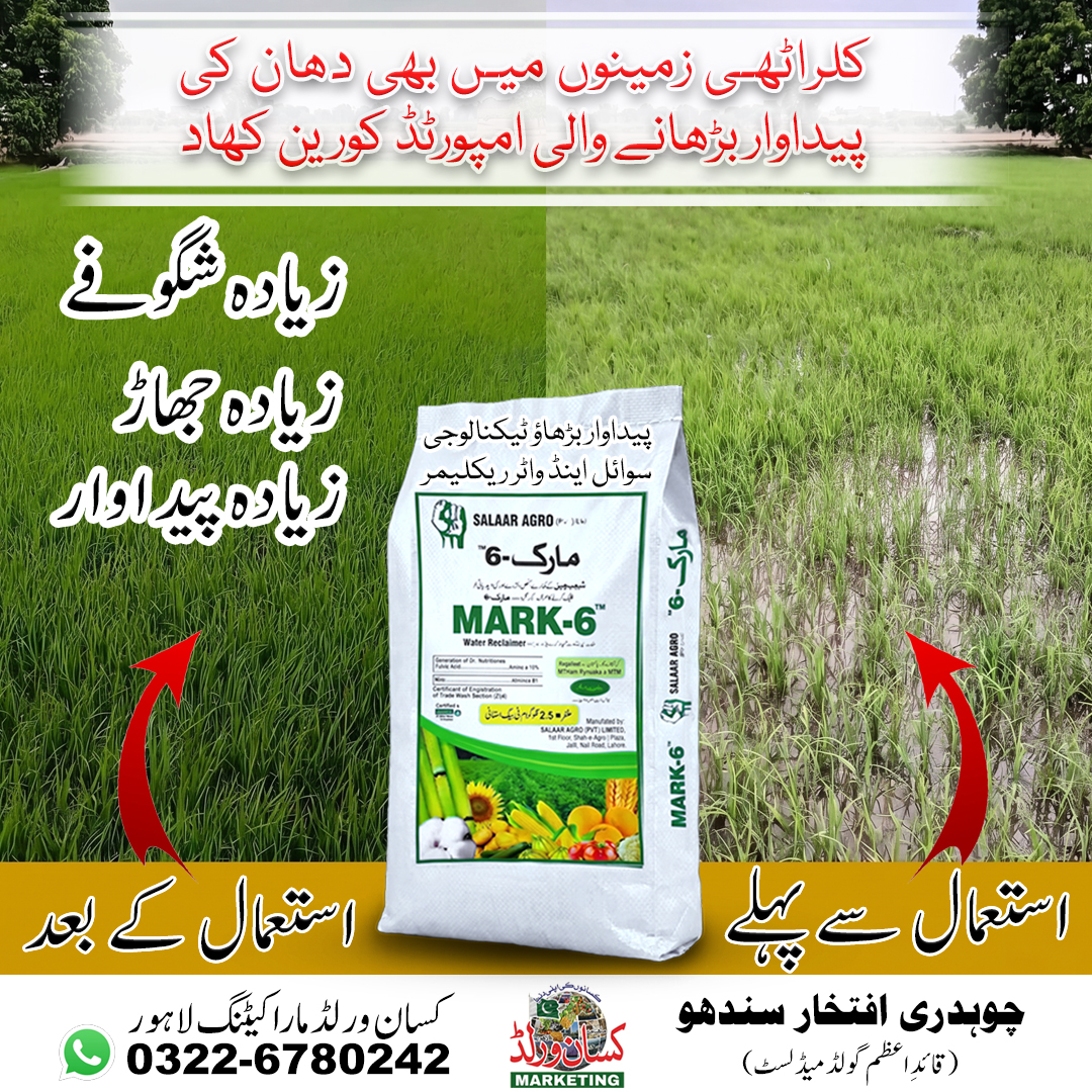 Mark 6 fertilizer composition with zinc, boron, calcium, magnesium and manganese