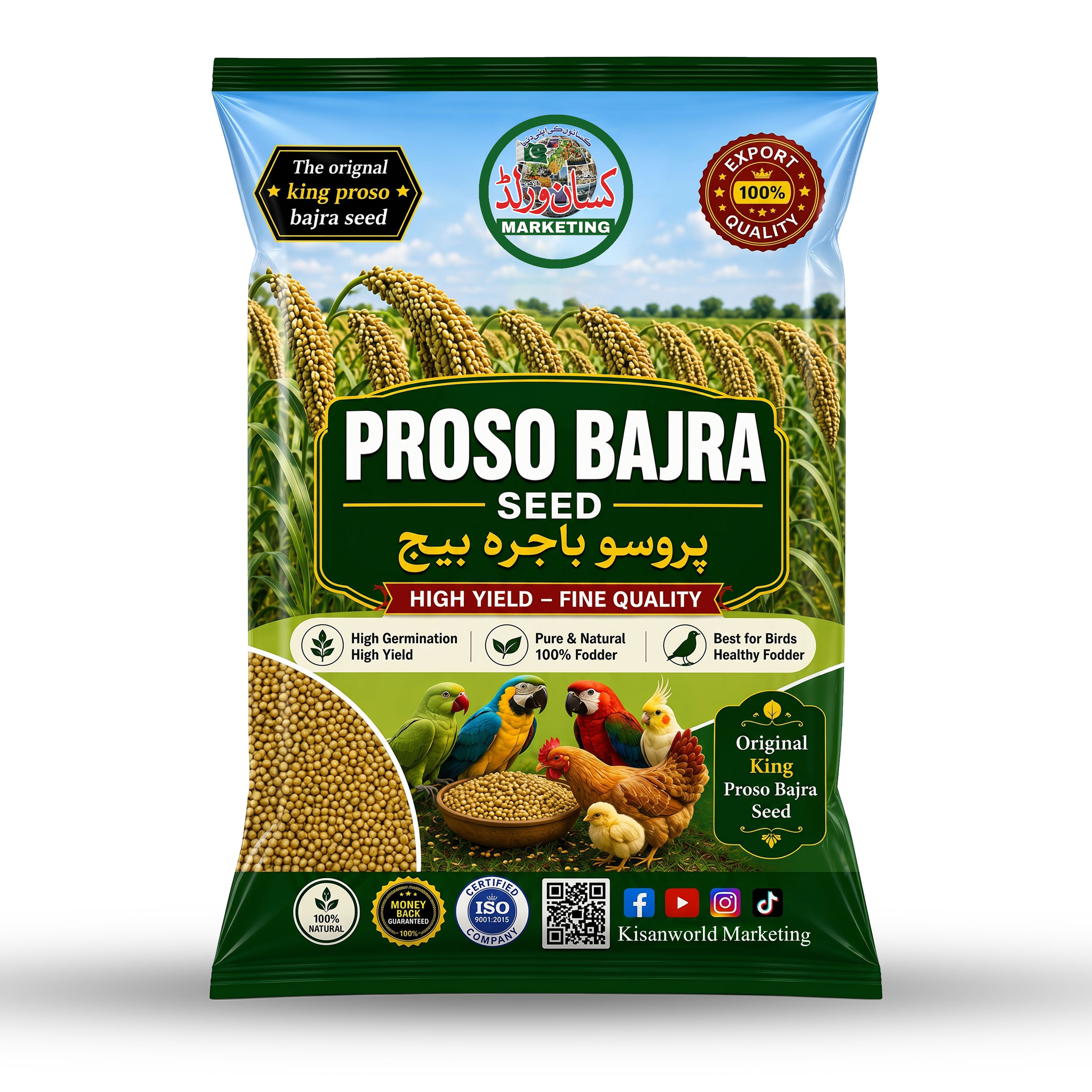 Proso American Millet cheena bajra seeds 5kg white bag by KISANWORLD Marketing Lahore – bird feed and livestock feed grain variety in Pakistan