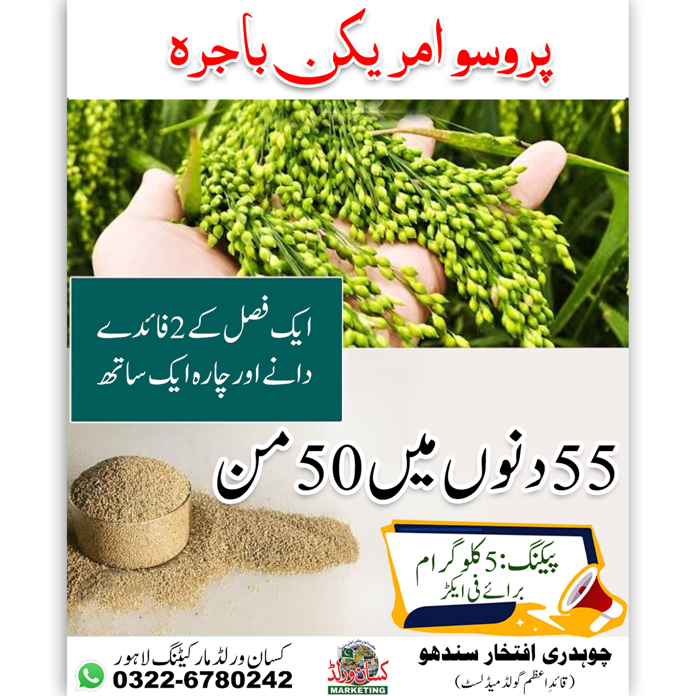 Proso millet cheena bajra seed bag label showing 5kg packing and variety details