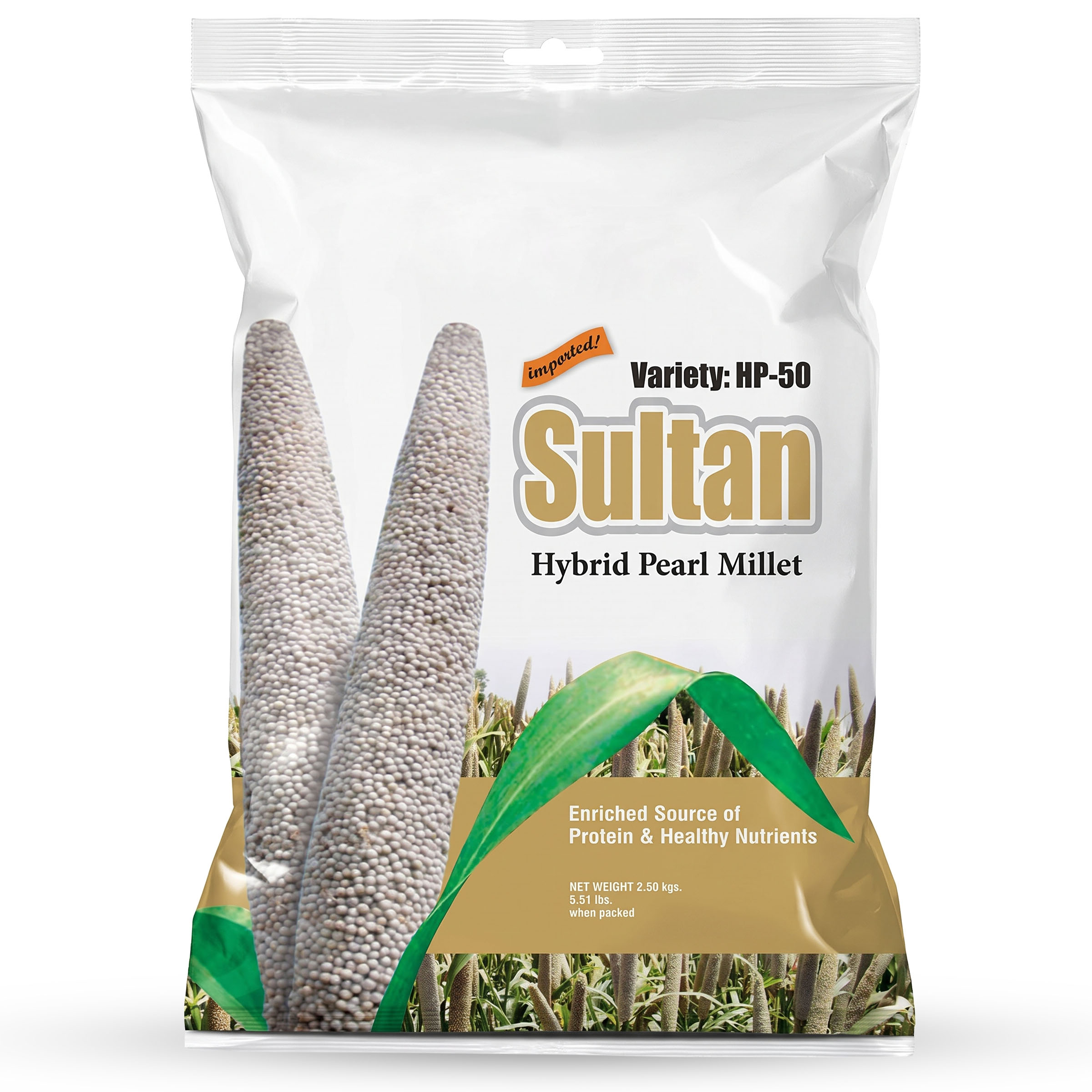 Sultan HP-50 Hybrid Pearl Millet Seeds 2.5kg by KisanWorld Pakistan premium drought resistant high yielding hybrid pearl millet seed.