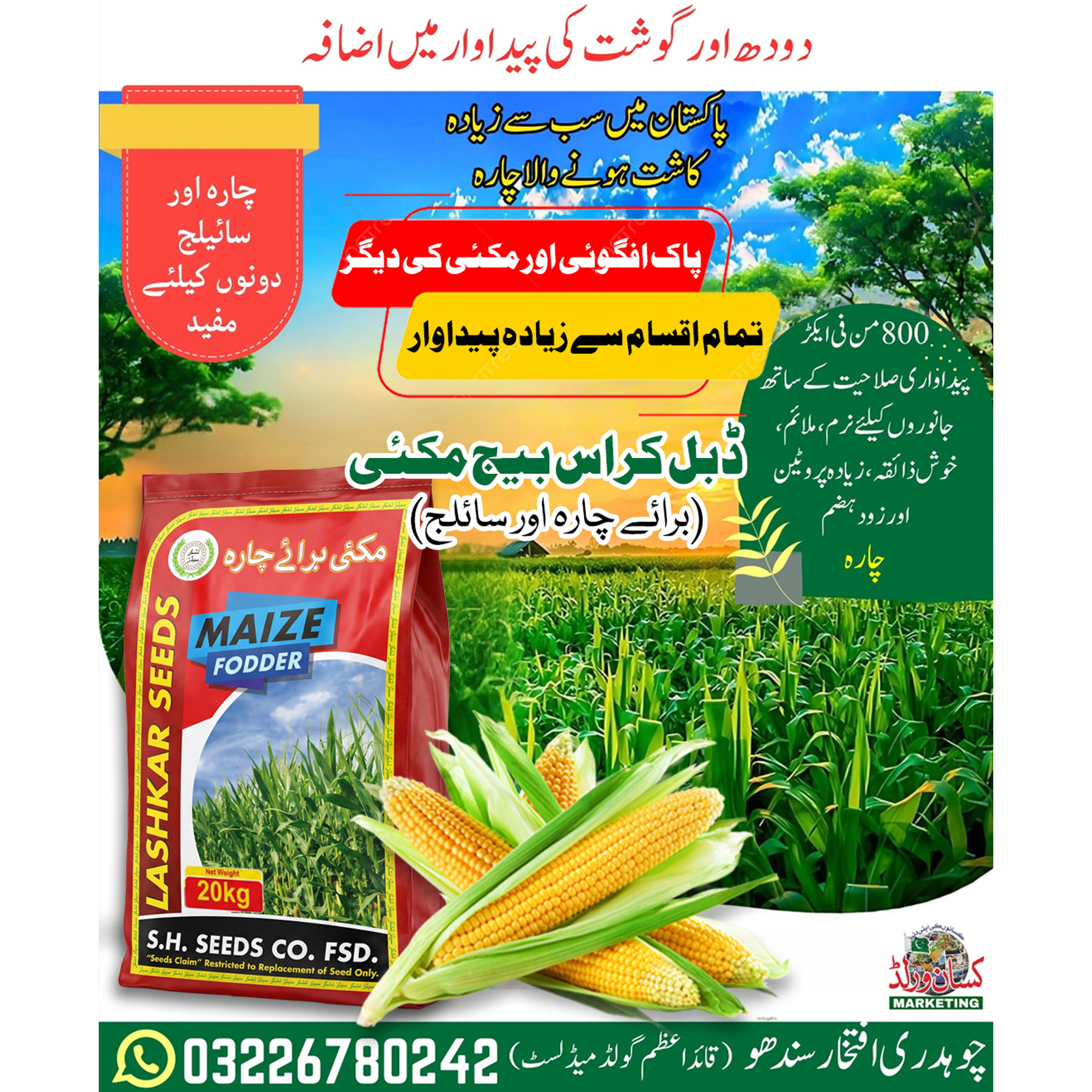 Maize Fodder Seeds 20kg premium maize seed for green fodder and silage by KisanWorld Pakistan.