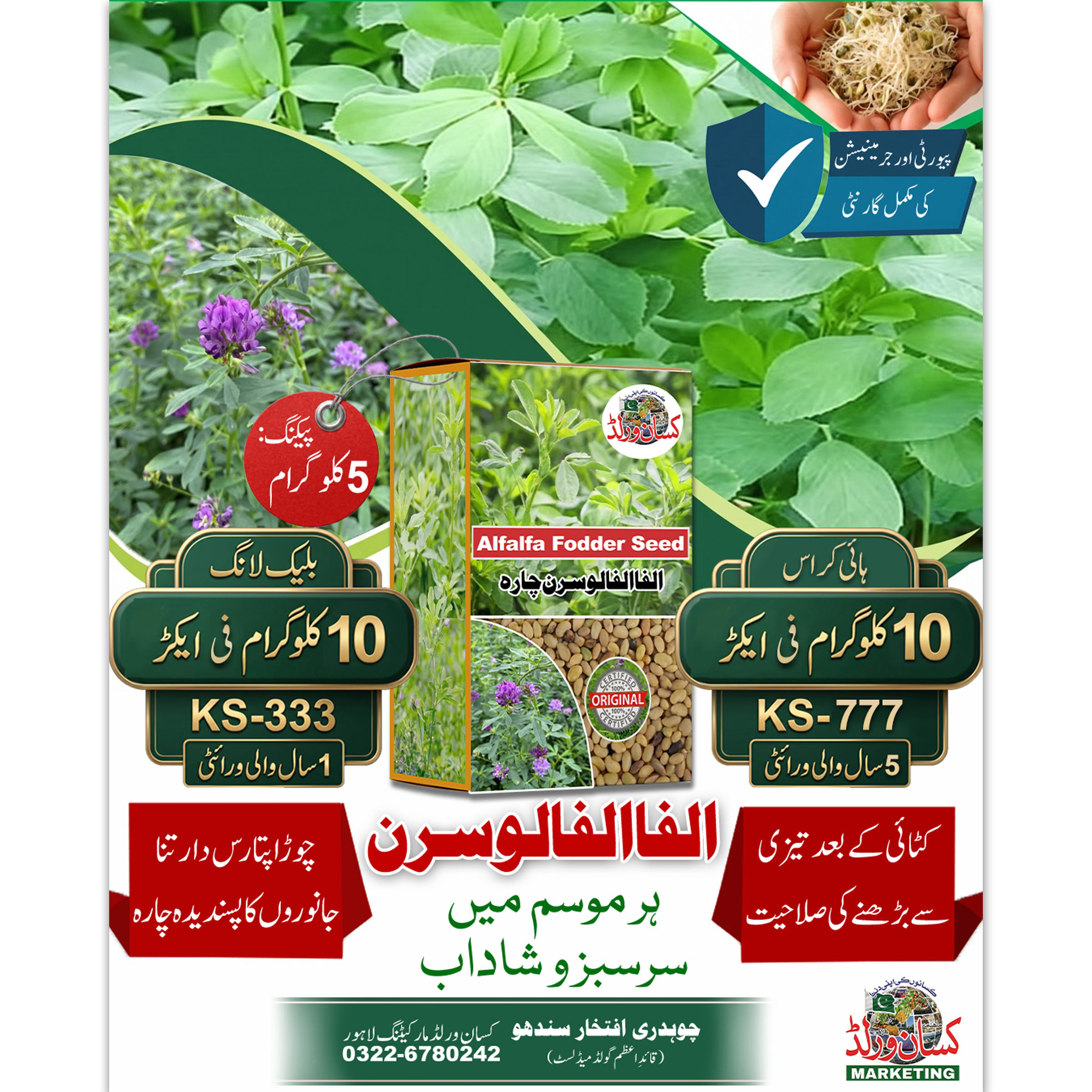 Alfalfa Fodder Seed High Cross KS-777 5KG box packaging