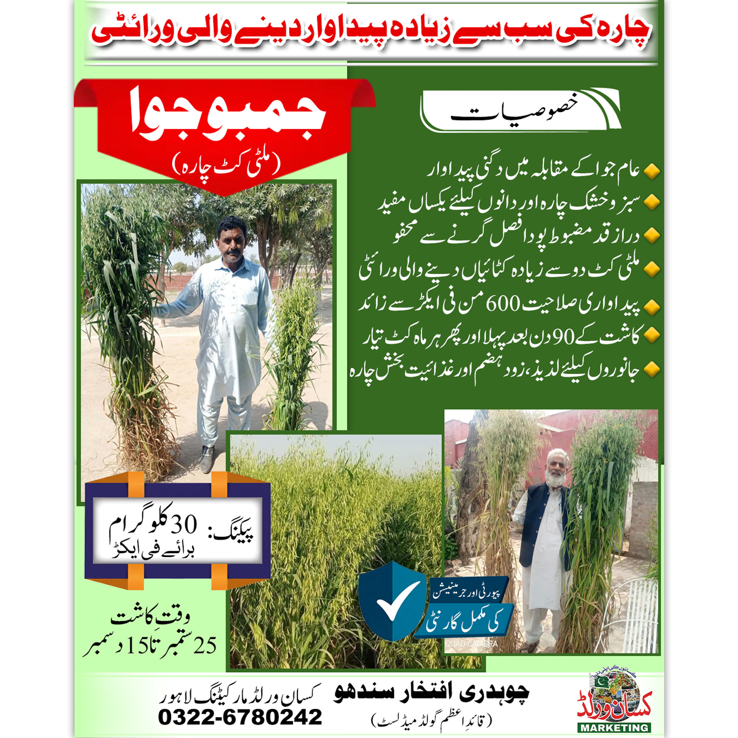 Jumbo Multi Cut Fodder Seed 30kg for livestock Pakistan