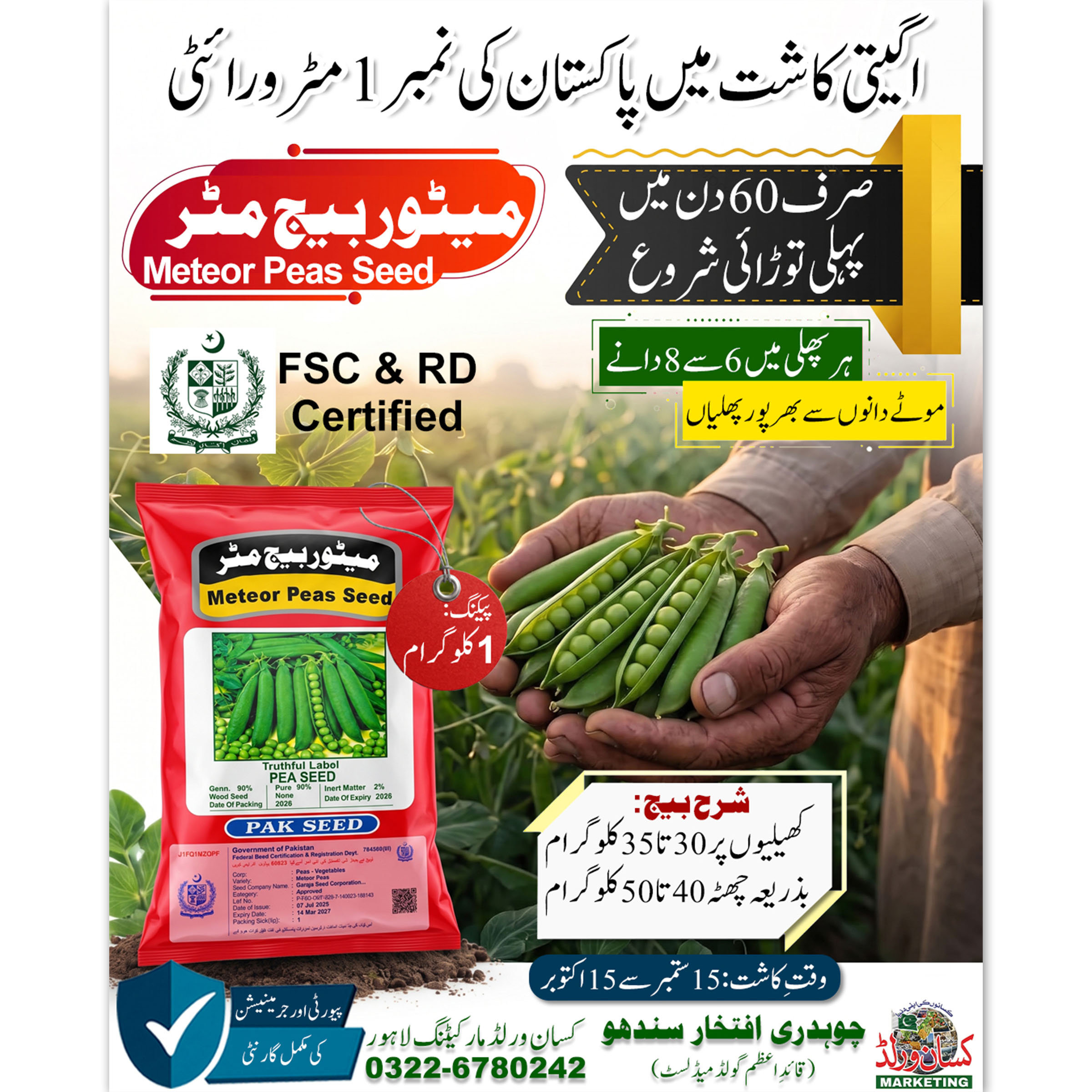Meteor Pea Seeds 1kg high quality pea seed Pakistan
