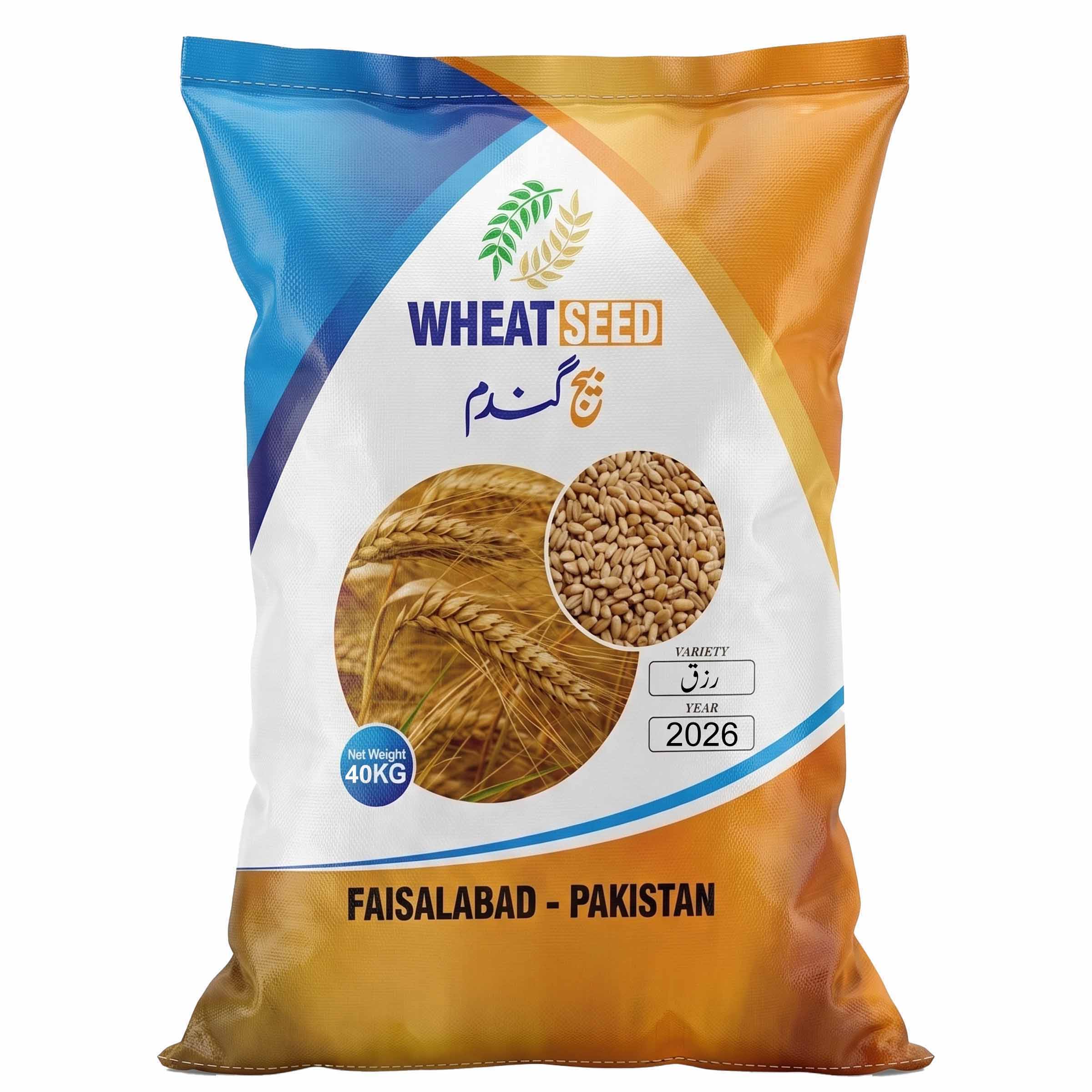 Rizq 2026 wheat seed 40kg bag – new zinc biofortified wheat variety from Faisalabad, KISANWORLD Marketing Lahore