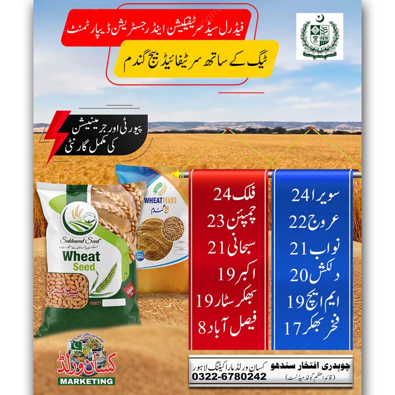 FSC&RD tagged certified wheat seed 50kg – Sawera-24, Falak-24, Urooj-22, Akbar-19, Dilkash-20, Faisalabad-2008 and more – KISANWORLD Marketing Lahore