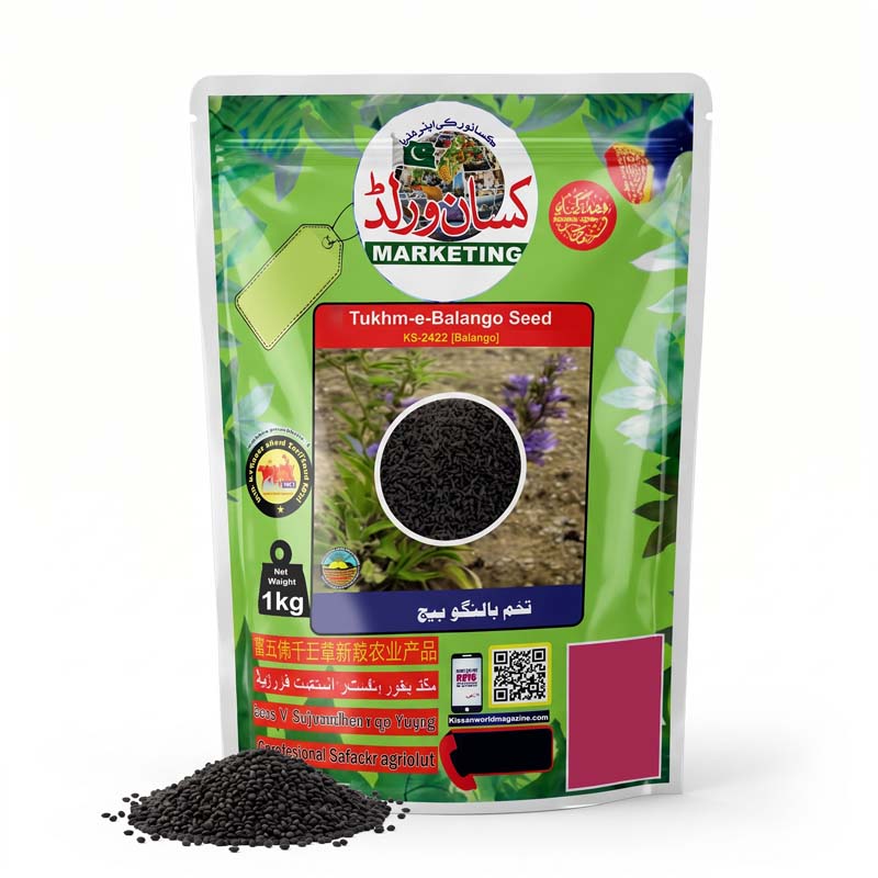 Tukhm-e-Balango seed KS-2422 1kg pack by KISANWORLD Marketing Lahore – balango beej