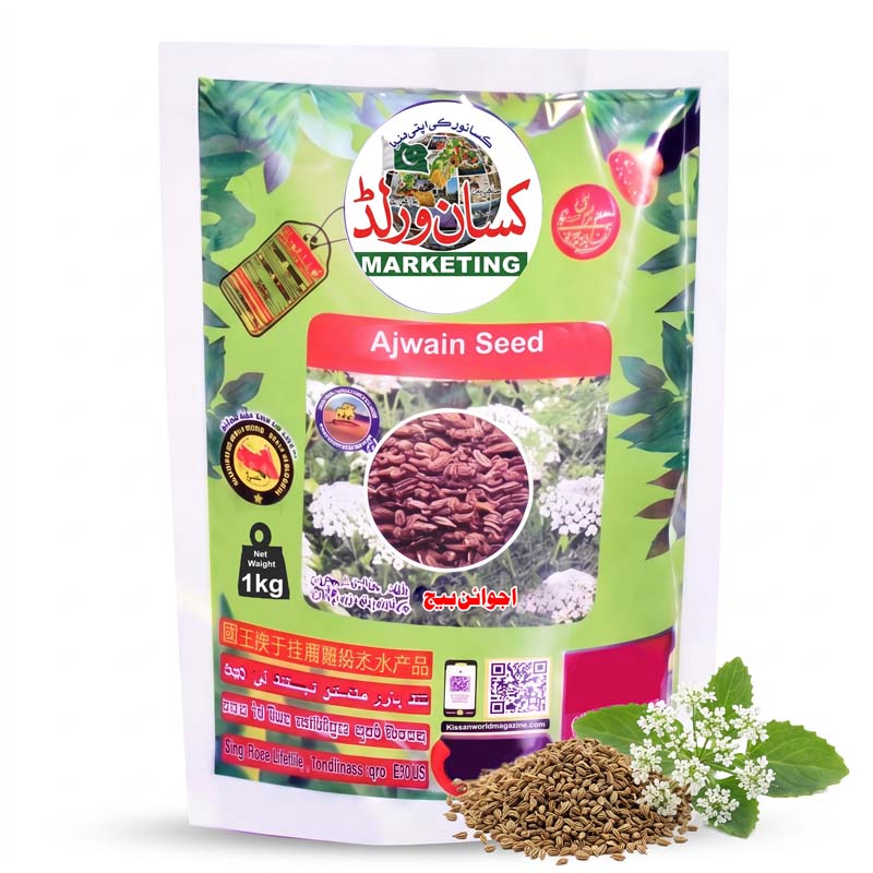 Ajwain carom seed 1kg pack by KISANWORLD Marketing Lahore – ajwain beej for sowing in Pakistan