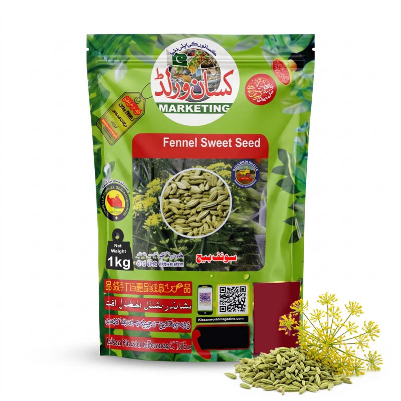 Saunf sweet fennel seed 1kg pack by KISANWORLD Marketing Lahore – saunf beej for sowing in Pakistan