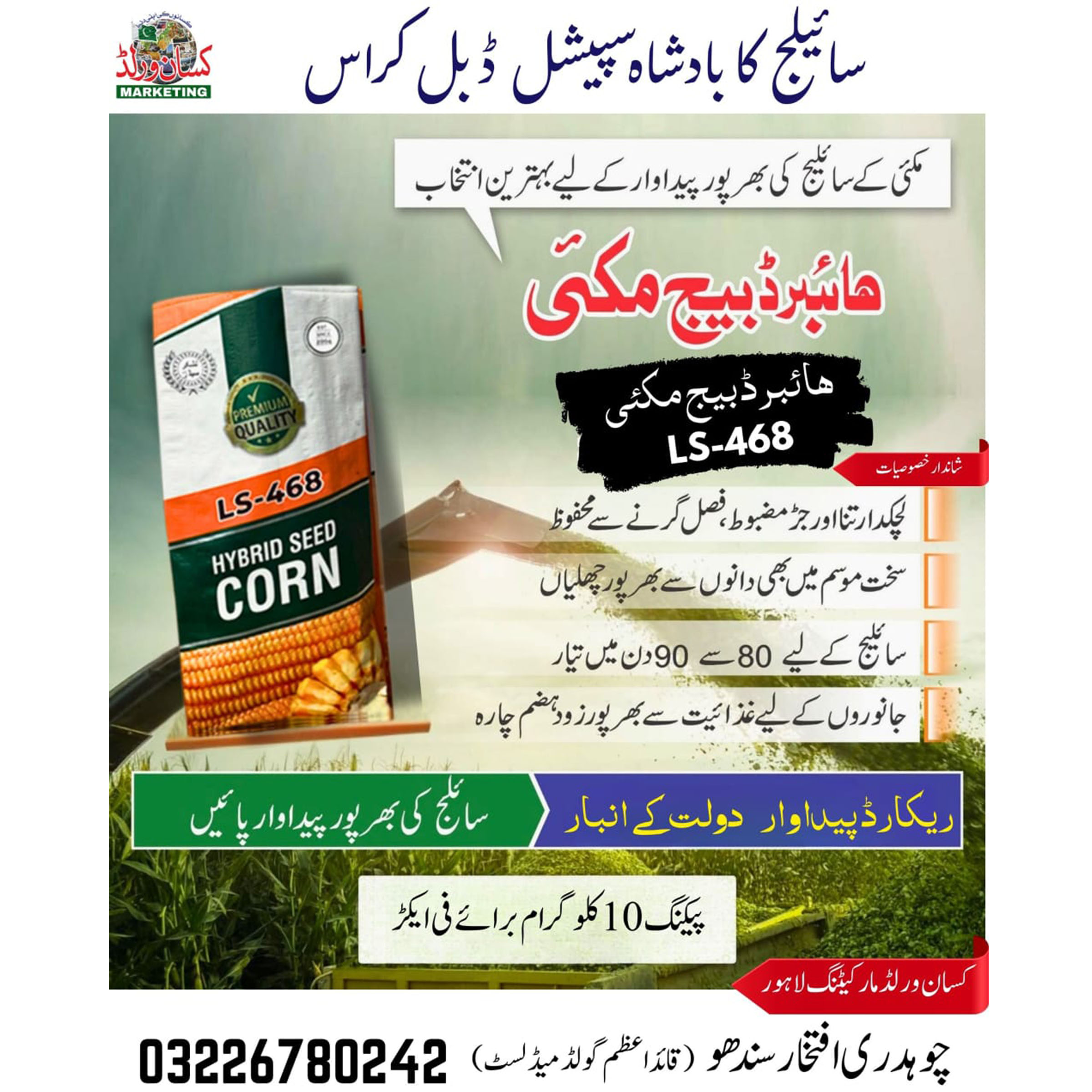 Hybrid Maize LS-468 Silage Seeds 10kg premium maize seed bag by KisanWorld Pakistan