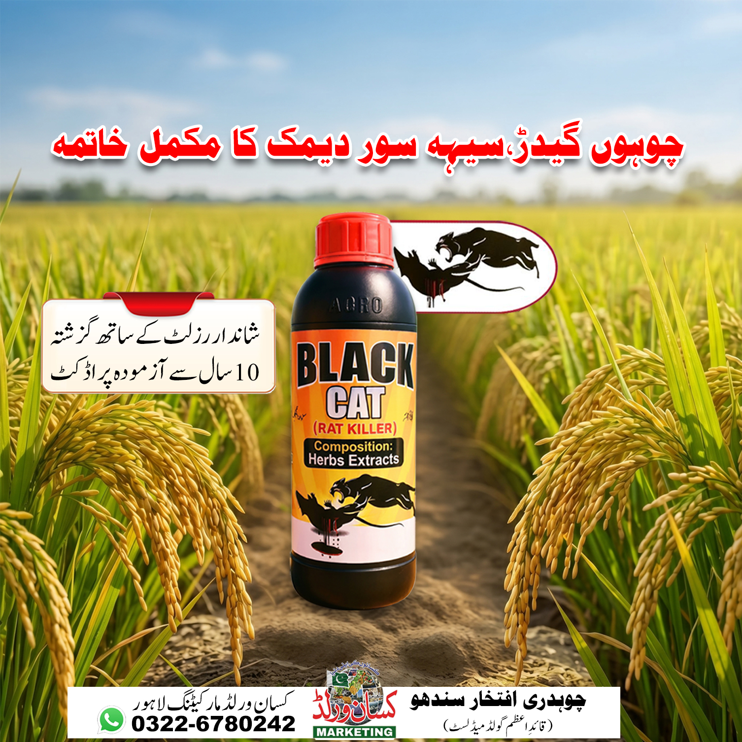 Black Cat Rat Killer 1 litre pack – rat and mouse control for poultry sheds and farm houses
