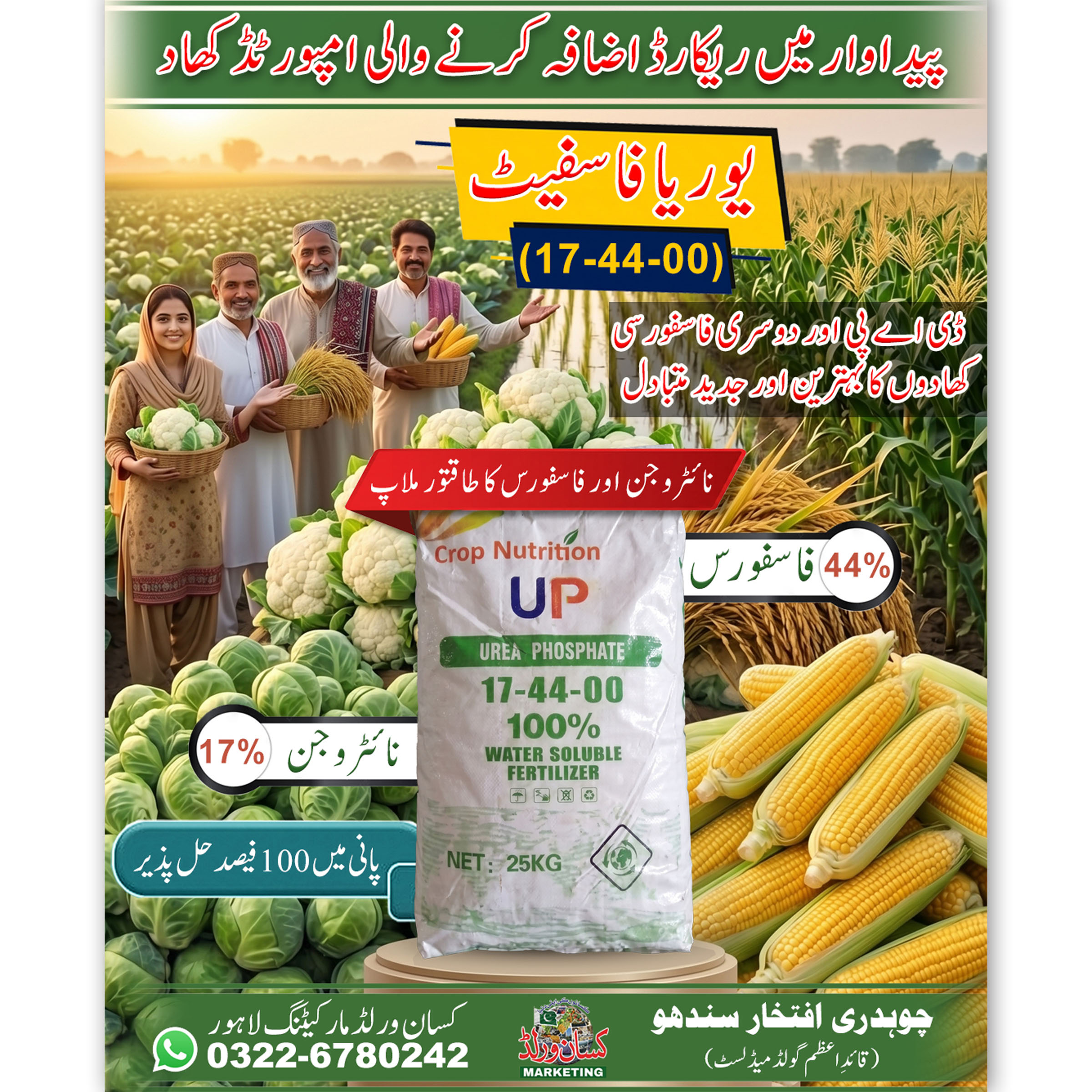 Urea Phosphate 17-44-00 25KG imported 100 percent water soluble fertilizer for vegetables fruits and field crops in Pakistan