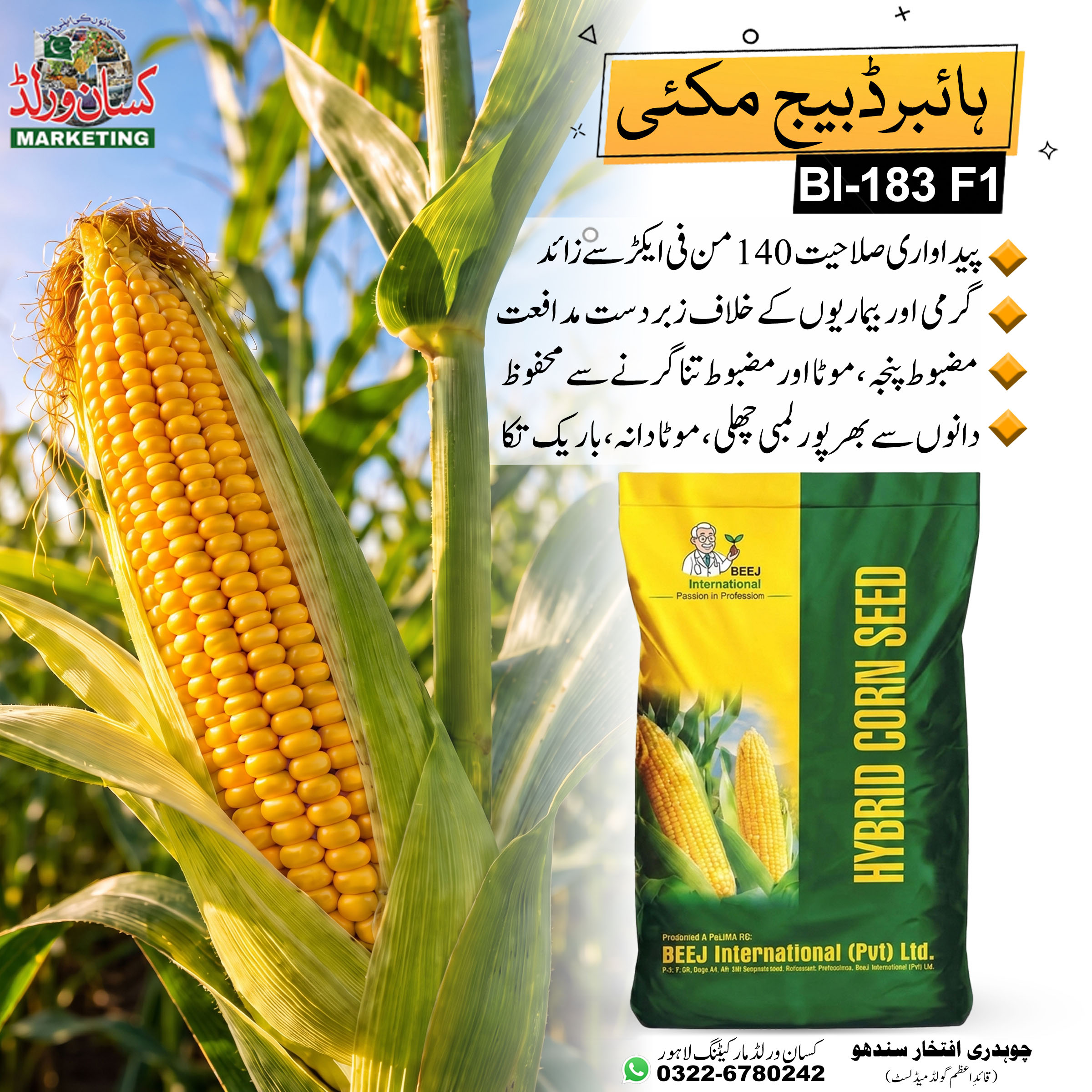 Hybrid Corn Seed BI-183 F1 10KG premium maize seed for high grain yield and uniform cobs marketed by KisanWorld Marketing Pakistan