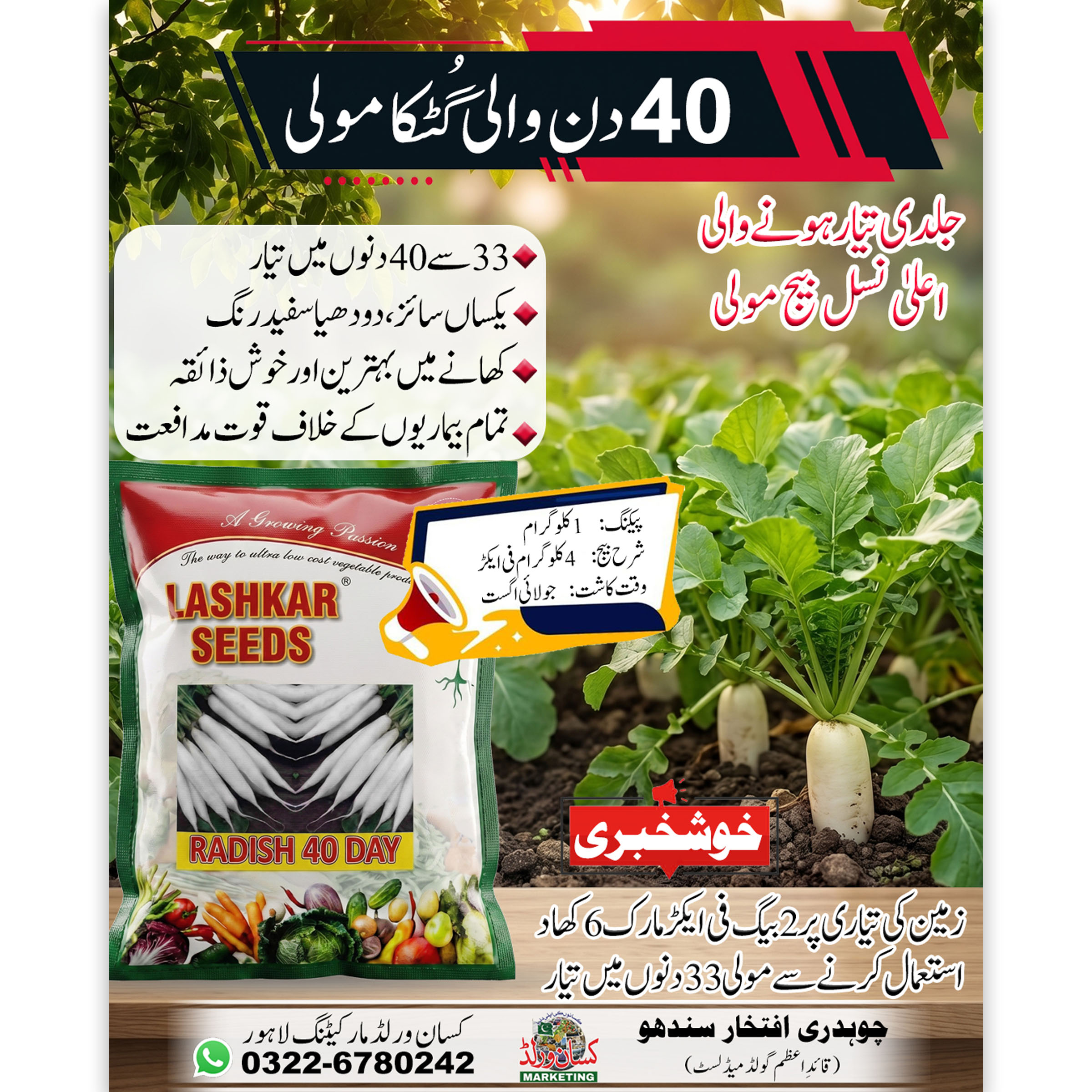 Gutka Radish Seeds 40 Day 1KG premium white radish seeds for early harvesting and commercial vegetable farming in Pakistan