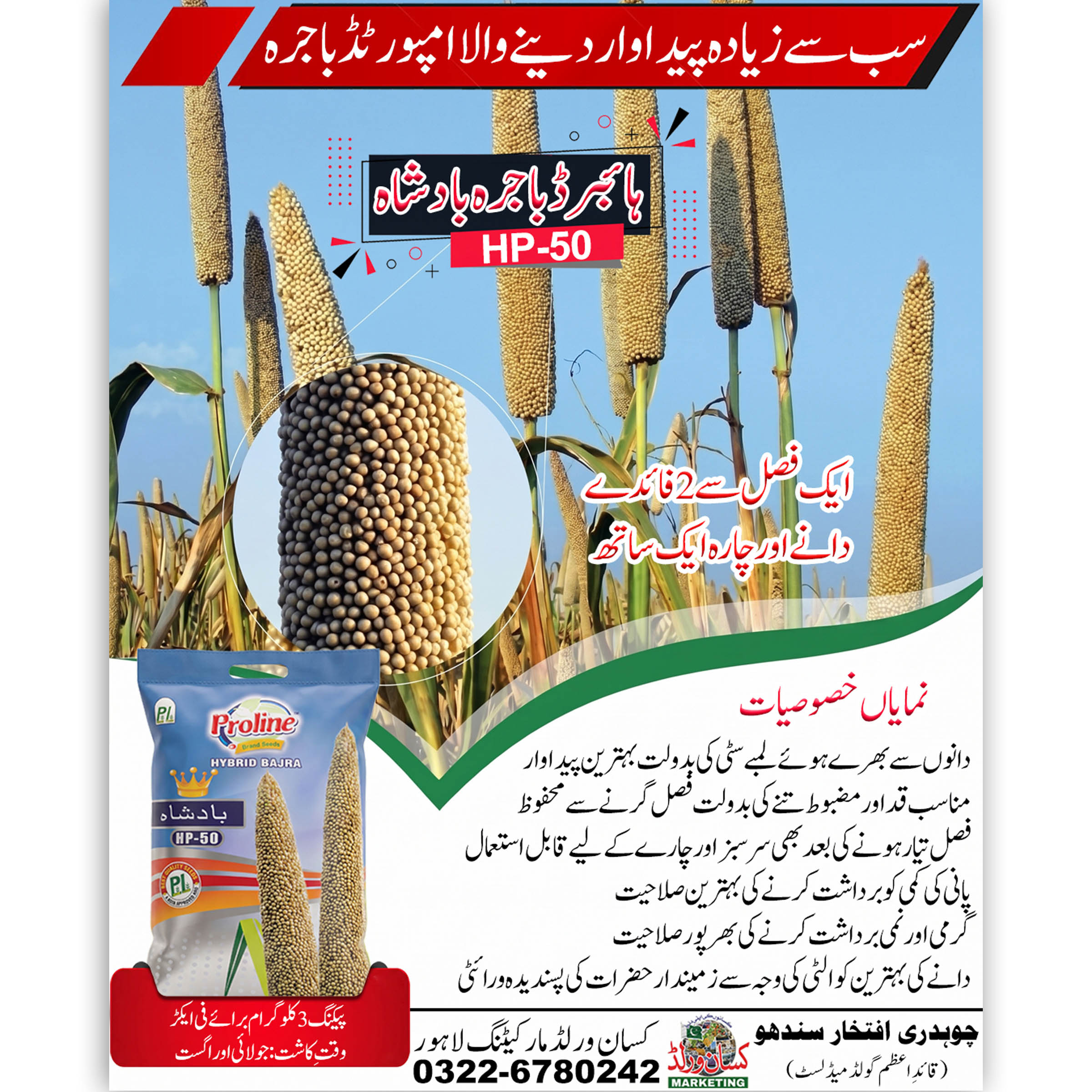 Hybrid Bajra Badshah HP-50 Seeds 3kg by KisanWorld Marketing – high yielding pearl millet seed for grain and fodder production in Pakistan